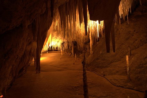 Tahune Airwalk Active Day Trip From Hobart Including Hastings Caves - Accommodation Burleigh 8