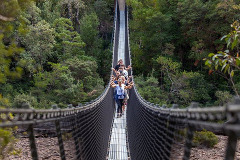Tahune Airwalk Active Day Trip From Hobart Including Hastings Caves - Accommodation Burleigh 0