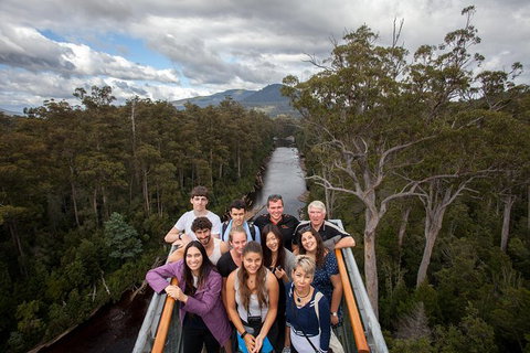 Tahune Airwalk Active Day Trip From Hobart Including Hastings Caves - Accommodation Burleigh 1