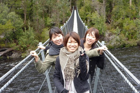 Tahune Airwalk Active Day Trip From Hobart Including Hastings Caves - Accommodation Burleigh 7