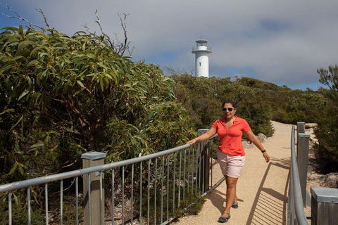 Half-Day Tour To Wineglass Bay From Launceston With Guide - Accommodation Burleigh 2