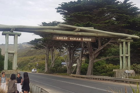 Great Ocean Road Full Day Private Experience - Accommodation Burleigh 12