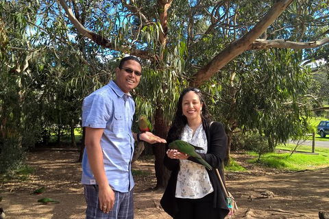 Great Ocean Road Full Day Private Experience - Accommodation Burleigh 2