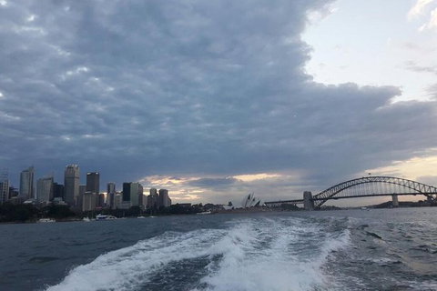 Sydney&Melbourne City Lovers- 2 Day Combo Private Tour! - Accommodation Burleigh 1