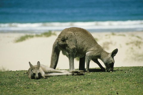 LGBT+ Friendly 12-Hour Great Ocean Road Private Tour - Accommodation Burleigh 3