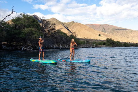 Stand Up Paddle Boarding Hire - Accommodation Burleigh 2
