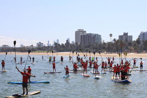 Stand Up Paddle Boarding Hire - Accommodation Burleigh 5