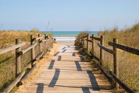 Cruise Ship Shore Excursion - Private Great Ocean Road Full Day Tour (12 Hour) - Accommodation Burleigh 0