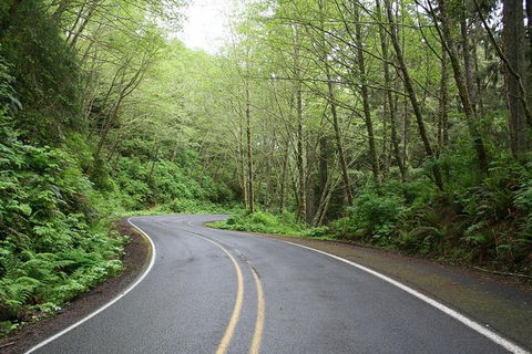 Cruise Ship Shore Excursion - Private Great Ocean Road Full Day Tour (12 Hour) - Accommodation Burleigh 1