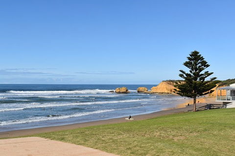 Great Ocean Road Tour Plus Koalas, Forest Walk And Morning Tea. - Accommodation Burleigh 3