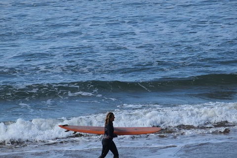 Great Ocean Road Tour Plus Koalas, Forest Walk And Morning Tea. - Accommodation Burleigh 8