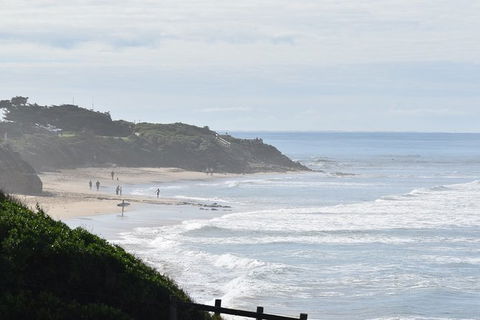 Great Ocean Road Tour Plus Koalas, Forest Walk And Morning Tea. - Accommodation Burleigh 10