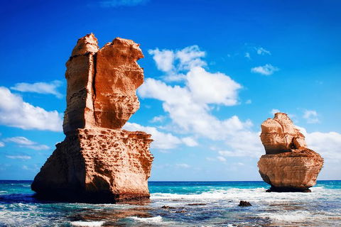Great Ocean Road Tour Plus Koalas, Forest Walk And Morning Tea. - Accommodation Burleigh 11