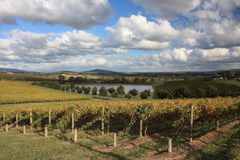 LGBT+ Friendly Full Day Yarra Valley & Dandenong Ranges Private Tour - Accommodation Burleigh 0