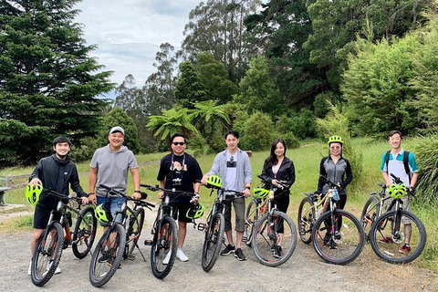 Aqueduct And Rail Trail Self-Guided Bike Tour In Warburton - Accommodation Burleigh 0