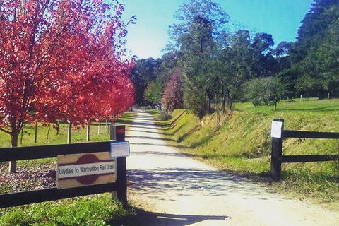 Aqueduct And Rail Trail Self-Guided Bike Tour In Warburton - Accommodation Burleigh 4