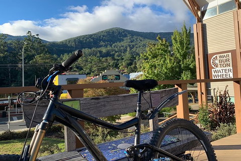 Aqueduct And Rail Trail Self-Guided Bike Tour In Warburton - Accommodation Burleigh 2