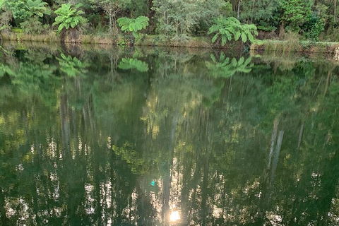 Hiking Tour To Aqueduct And Warburton Valley Lookout - Accommodation Burleigh 2