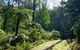 Hiking Tour To Aqueduct And Warburton Valley Lookout - thumb 1
