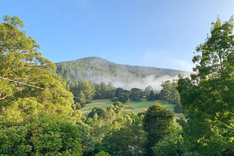 Hiking Tour To Aqueduct And Warburton Valley Lookout - Accommodation Burleigh 0
