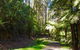 Half-Day Biking Activity From Aqueduct To California Redwoods - thumb 2