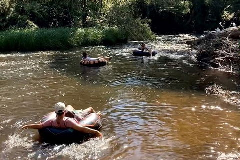 Watertube Experience In Yarra River - Accommodation Burleigh 8