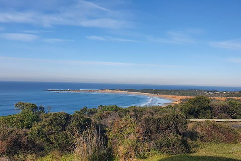 Private Great Ocean Road And Chocolaterie Tour With Tasting - Accommodation Burleigh 5