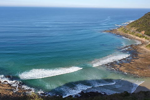 Private Great Ocean Road And Chocolaterie Tour With Tasting - Accommodation Burleigh 7