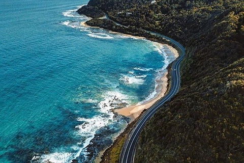 Private Great Ocean Road And Chocolaterie Tour With Tasting - Accommodation Burleigh 6