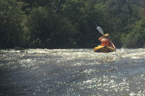Yarra River Half-Day Rafting Experience - Accommodation Burleigh 5