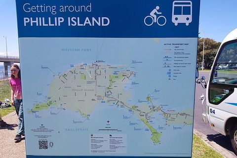 Phillip Island Penguin And Wildlife Tour - Accommodation Burleigh 28