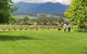 Yarra Valley Wine Tasting Day Tour From Melbourne - thumb 6