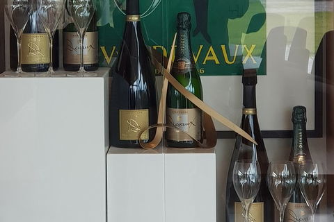 Yarra Valley Wine Tasting Day Tour From Melbourne - Accommodation Burleigh 2