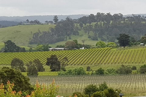 Yarra Valley Wine Tasting Day Tour From Melbourne - Accommodation Burleigh 0
