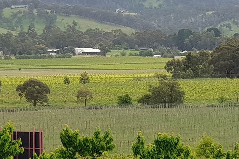 Yarra Valley Wineries And Rayners Orchard Tour From Melbourne - Accommodation Burleigh 2