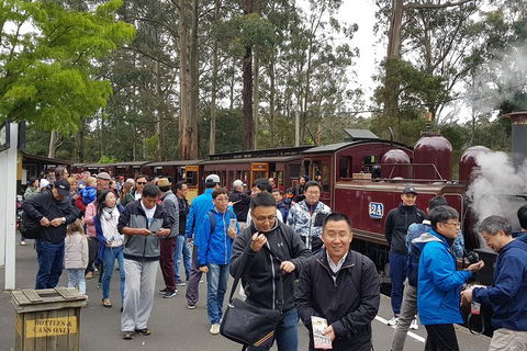 Day Tour Of Yarra Valley Puffing Billy And Rayners Orchard - Accommodation Burleigh 3