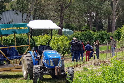 Day Tour Of Yarra Valley Puffing Billy And Rayners Orchard - Accommodation Burleigh 10