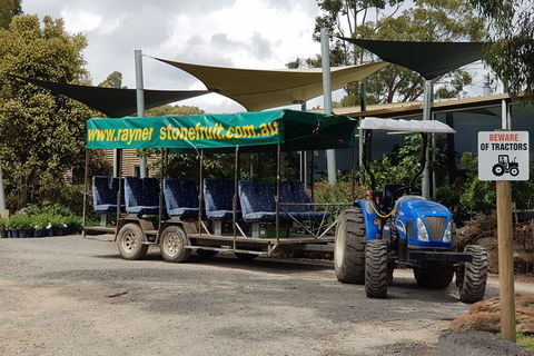 Day Tour Of Yarra Valley Puffing Billy And Rayners Orchard - Accommodation Burleigh 17