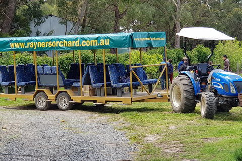 Day Tour Of Yarra Valley Puffing Billy And Rayners Orchard - Accommodation Burleigh 48