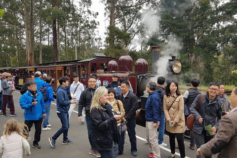 Day Tour Of Yarra Valley Puffing Billy And Rayners Orchard - Accommodation Burleigh 18