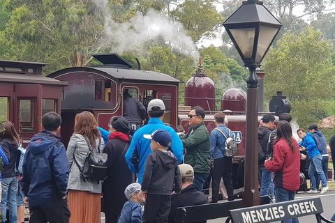 Day Tour Of Yarra Valley Puffing Billy And Rayners Orchard - Accommodation Burleigh 40