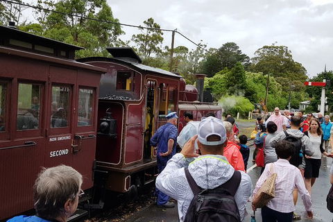 Day Tour Of Yarra Valley Puffing Billy And Rayners Orchard - Accommodation Burleigh 23