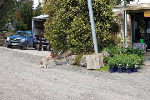 Day Tour Of Yarra Valley Puffing Billy And Rayners Orchard - Accommodation Burleigh 6