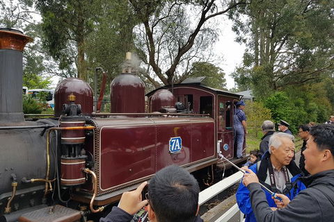 Day Tour Of Yarra Valley Puffing Billy And Rayners Orchard - Accommodation Burleigh 28