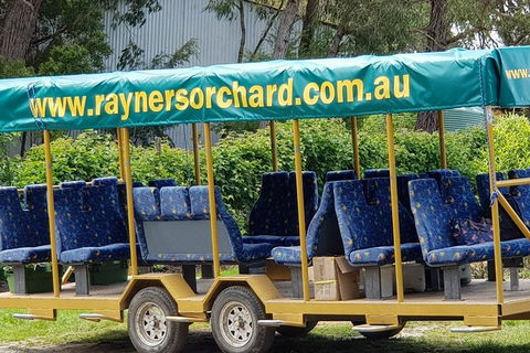 Day Tour Of Yarra Valley Puffing Billy And Rayners Orchard - Accommodation Burleigh 33