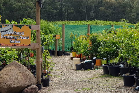 Day Tour Of Yarra Valley Puffing Billy And Rayners Orchard - Accommodation Burleigh 22