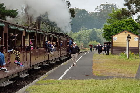 Day Tour Of Yarra Valley Puffing Billy And Rayners Orchard - Accommodation Burleigh 0