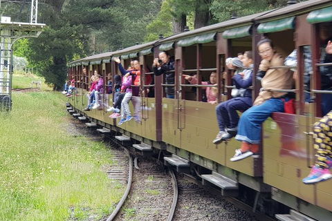 Day Tour Of Yarra Valley Puffing Billy And Rayners Orchard - Accommodation Burleigh 13