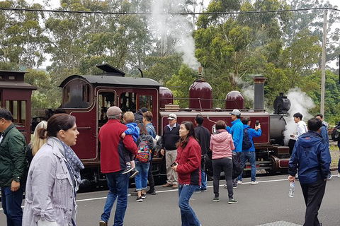 Day Tour Of Yarra Valley Puffing Billy And Rayners Orchard - Accommodation Burleigh 4