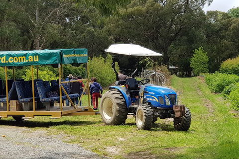 Day Tour Of Yarra Valley Puffing Billy And Rayners Orchard - Accommodation Burleigh 25